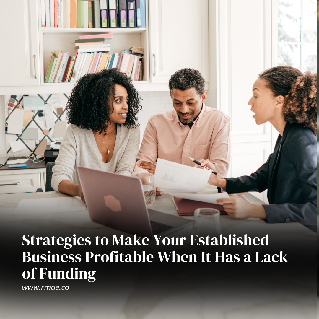 Strategies to Make Your Established Business Profitable When It Has a Lack of Funding